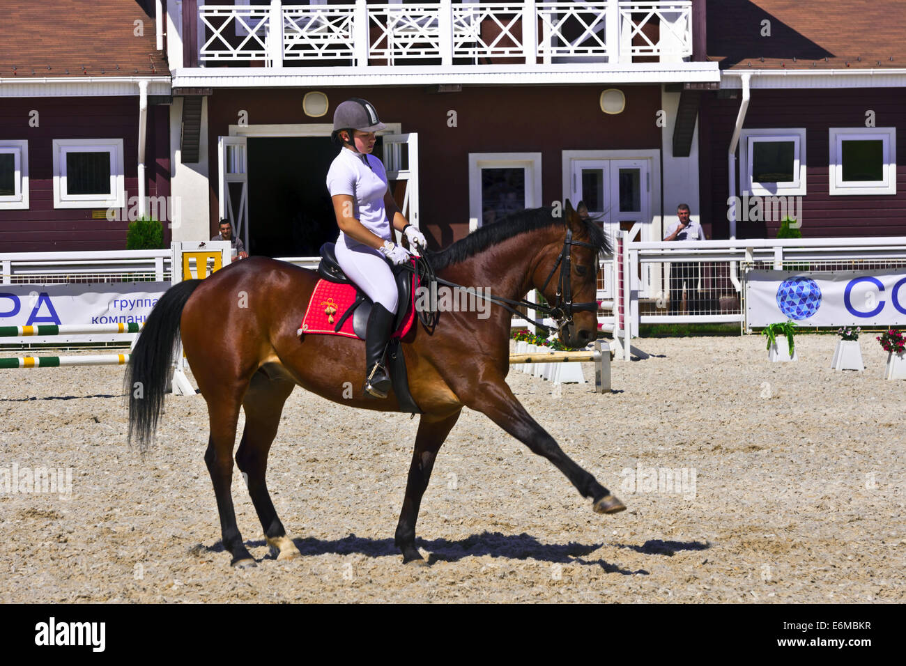 Pilota femmina su un oscuro Arabian di razza pura dimostrando cavallo dressage al Groumant Horse Show a Tula, Federazione russa. Foto Stock