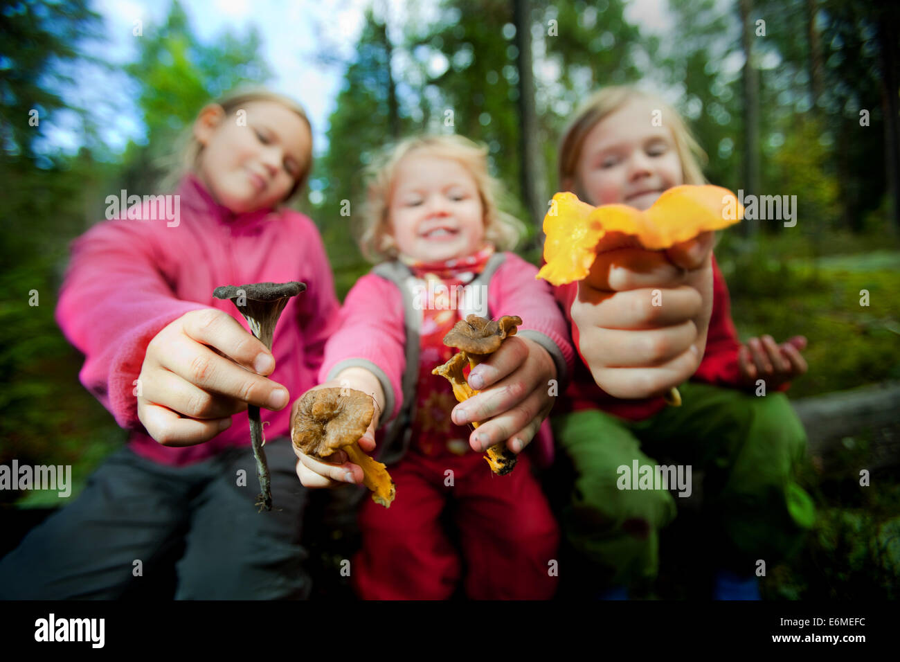 I bambini la raccolta di funghi in foresta Foto Stock