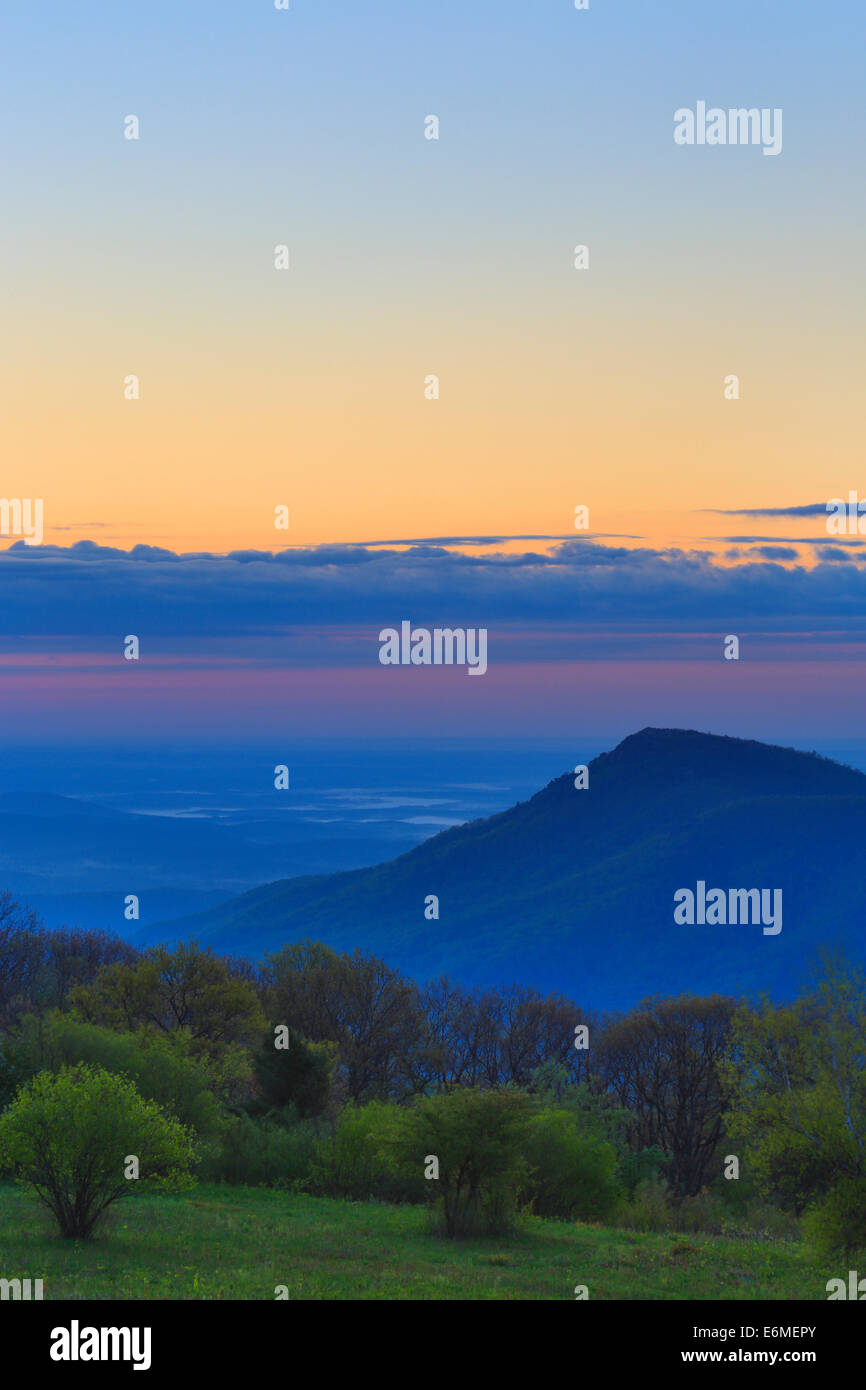 Alba sul vecchio Rag Mountain, Parco Nazionale di Shenandoah, Virginia, Stati Uniti d'America Foto Stock