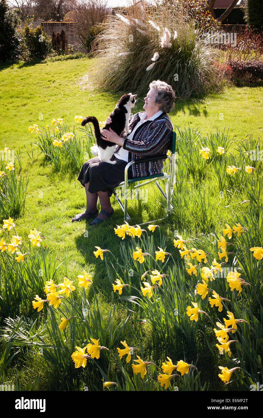 Titolare di pensione o di rendita con PET in bianco e nero gatto nel suo giardino di primavera. Foto Stock