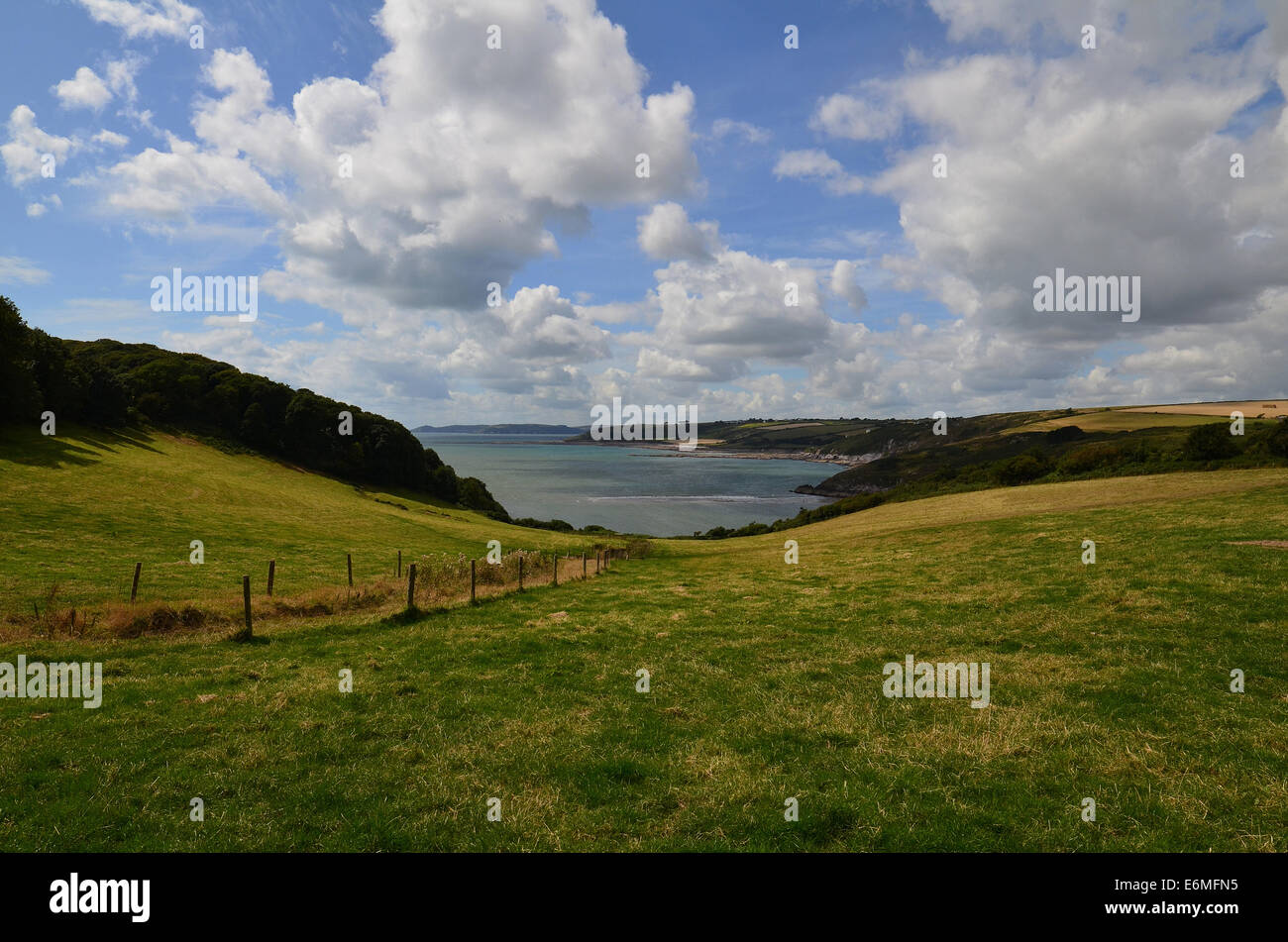 Vista attraverso un campo verso il mare da una collina in Noss Mayo, Devon. Foto Stock