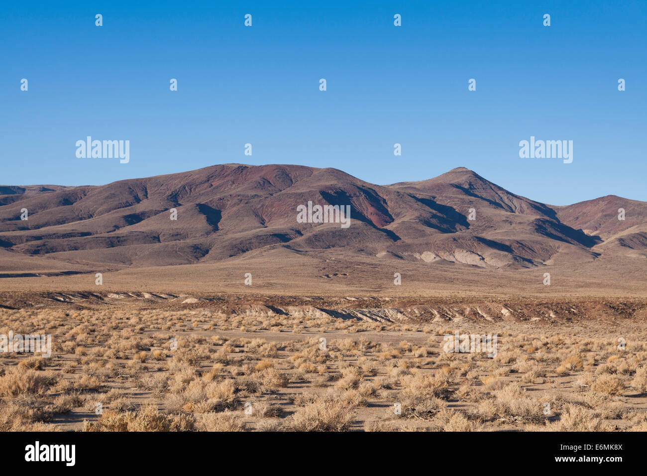 Deserto Mojave piano - California USA Foto Stock