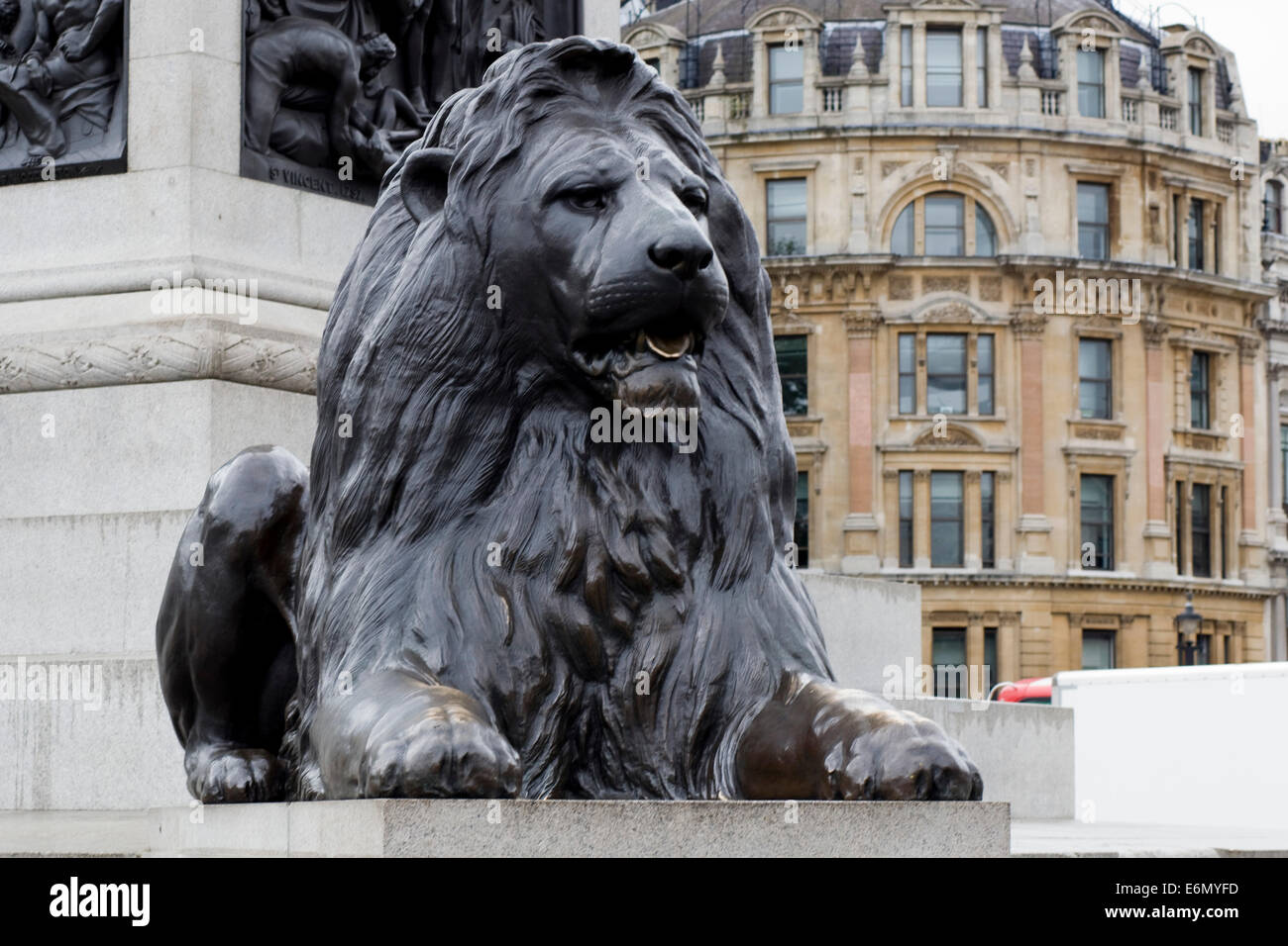 Uno dei famosi leoni a Trafalgar Square London Inghilterra England Foto Stock