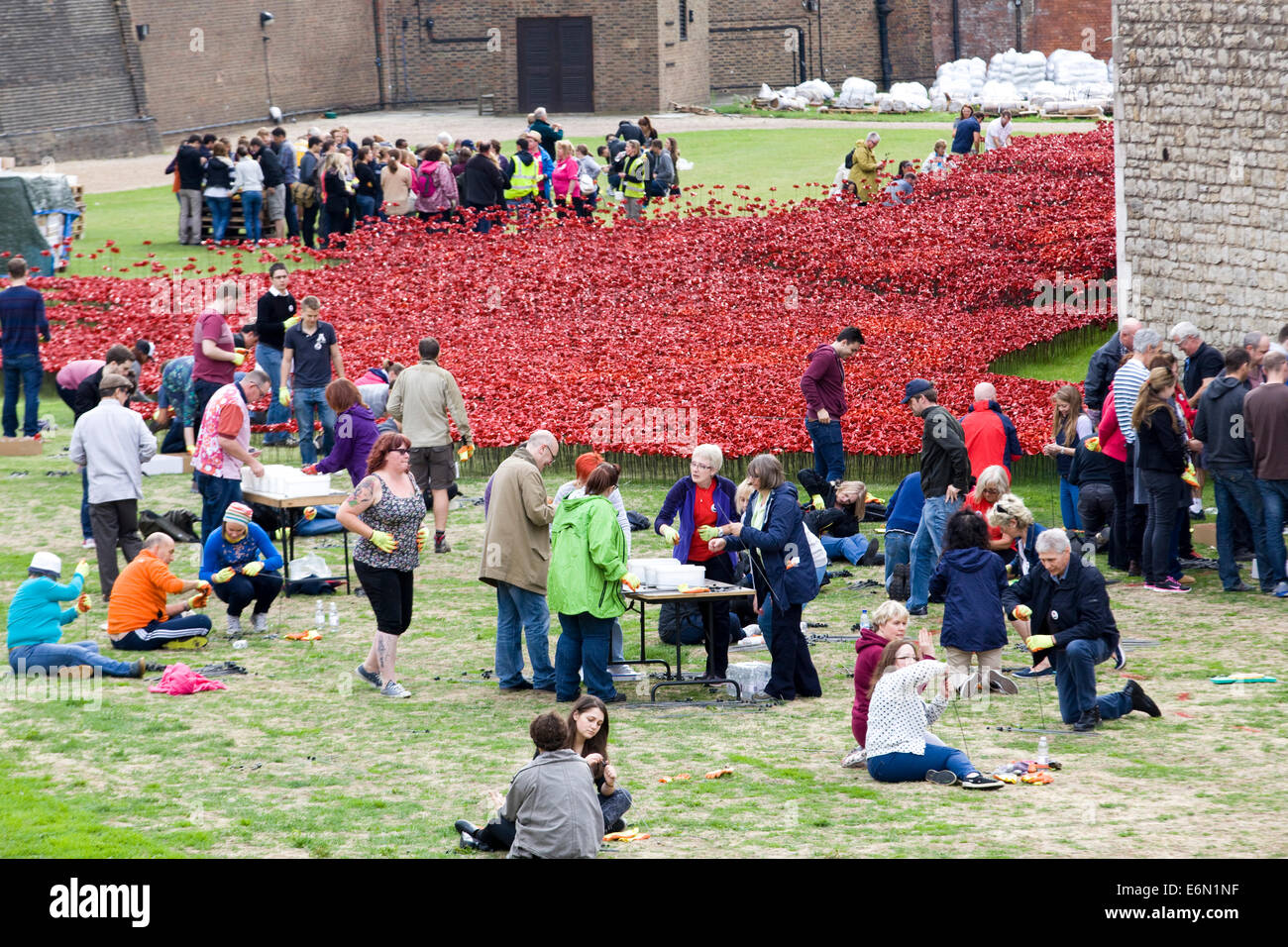 Rendendo pubblici e piantare papaveri in ceramica " sangue spazzata di terre e mari di rosso' Prima Guerra Mondiale" Torre di Londra Foto Stock