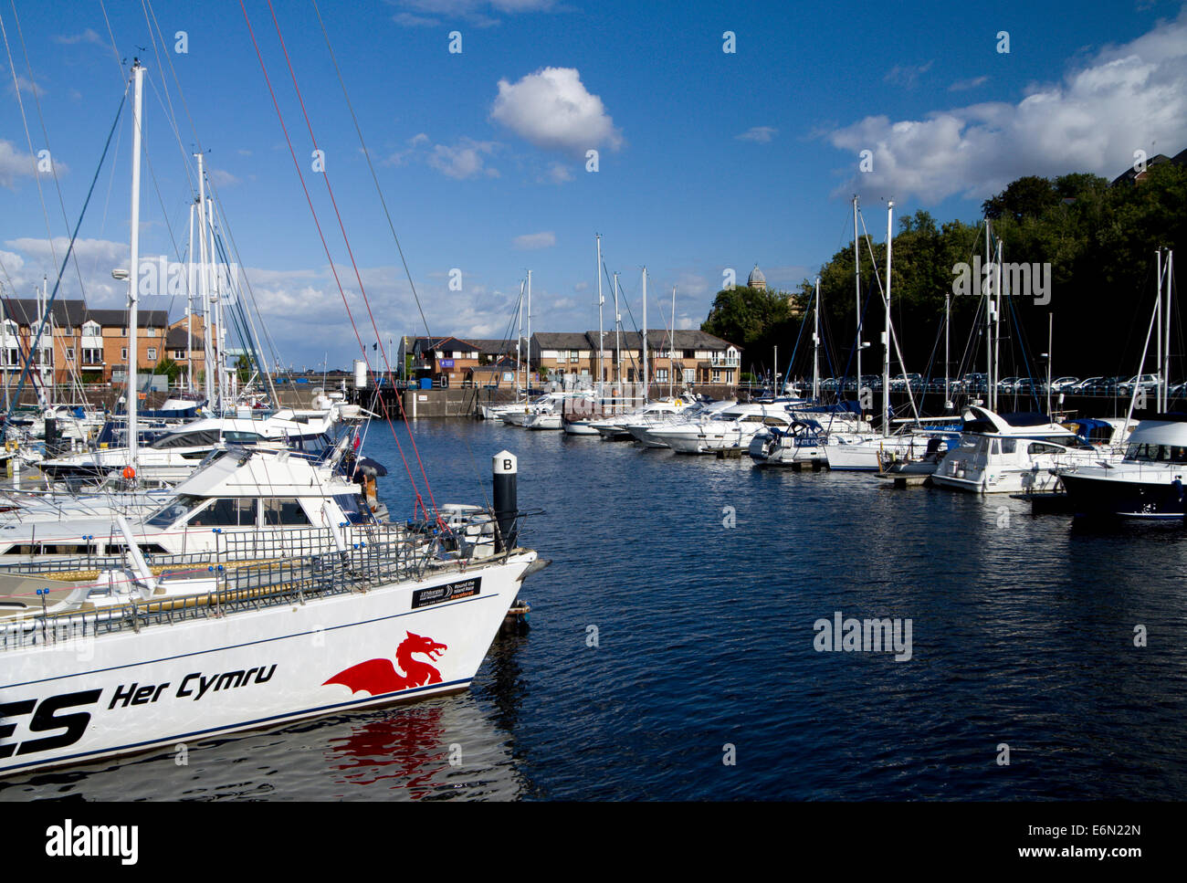 Sfida il Galles in tutto il mondo Racing Yacht ormeggiati a Penarth Marina, Vale of Glamorgan, Galles del Sud. Foto Stock
