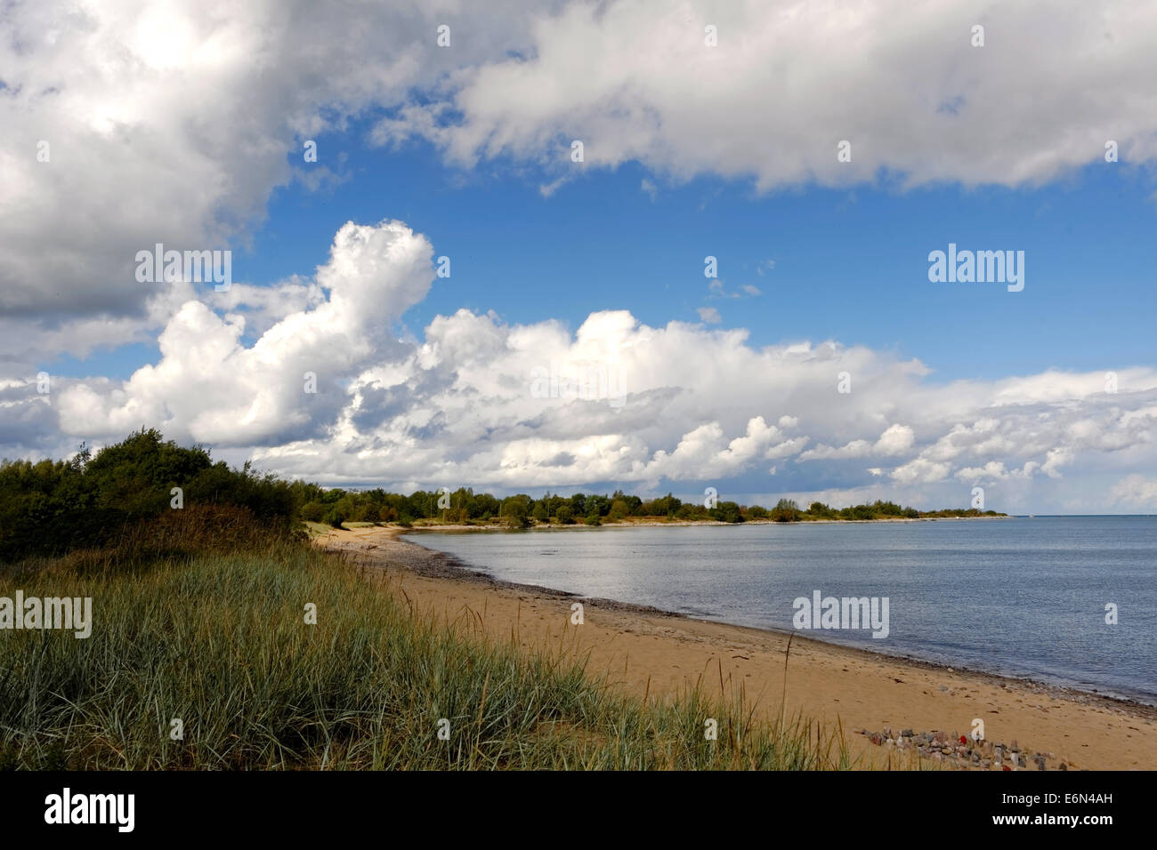 Costa del Mar Baltico, Golfo di Tallinn, Paljassaare penisola. Foto Stock