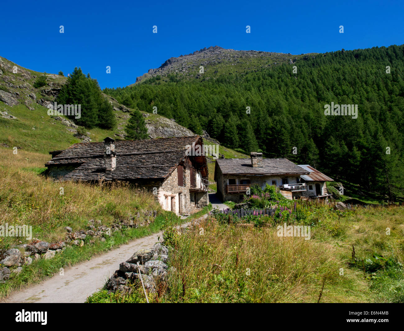Chalets su una pista di montagna che conduce al borgo di Le Monal nelle Alpi francesi Foto Stock