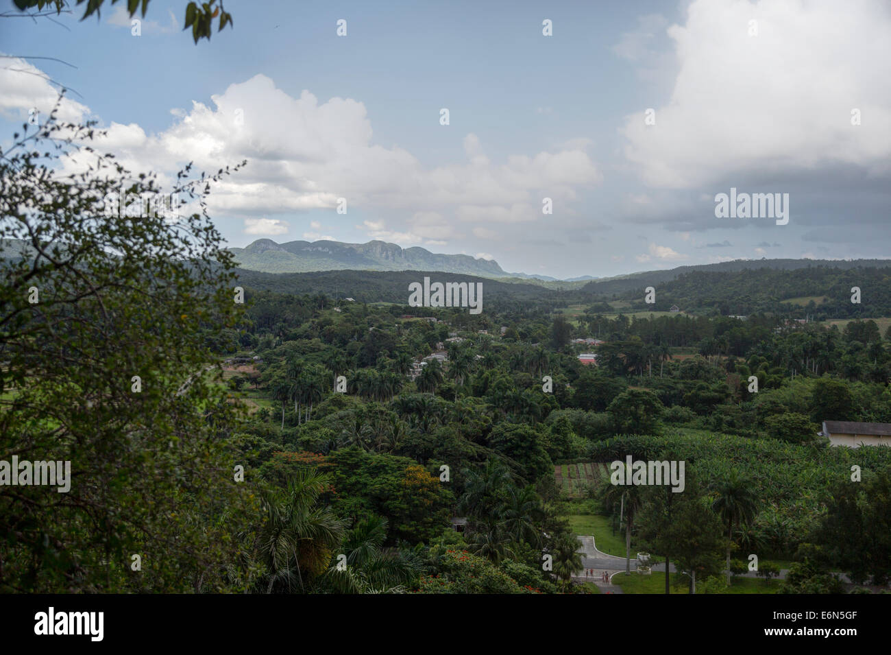 Vista da grotte di Santo Tommaso, nei pressi di Vinales, Pinar del Río, Vinales Foto Stock