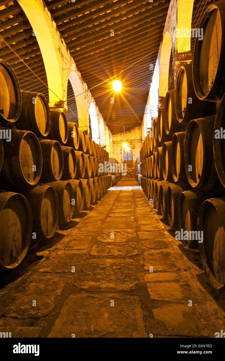 Bodegas Harvey, Jerez de la Frontera, la provincia di Cadiz Cadice, Andalusia, sud ovest Europa Foto Stock