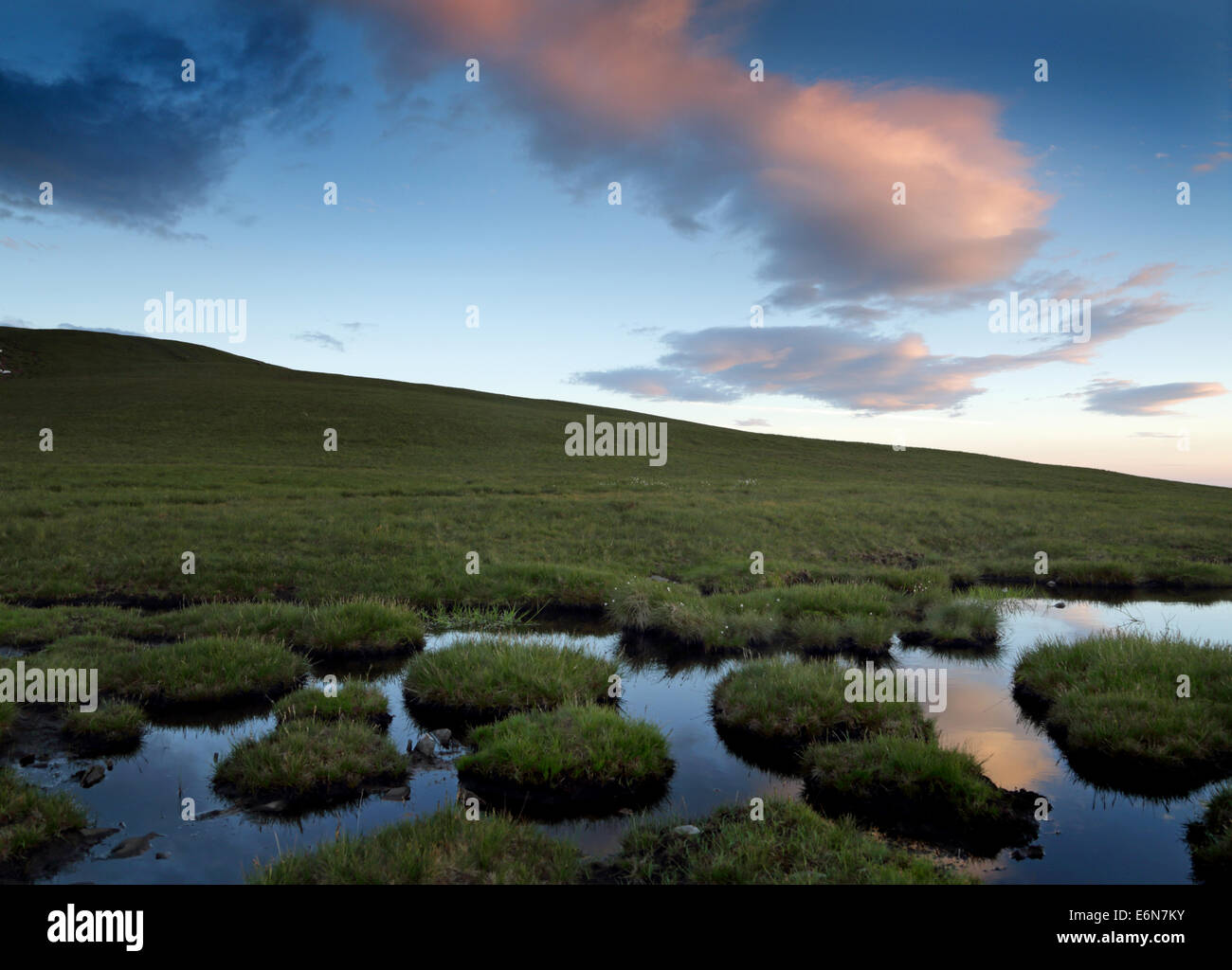 Erbaceo tussocks verde in un pool di torbiera alta su una collina tra le montagne del Parco Nazionale di Brecon Beacons in Galles Foto Stock