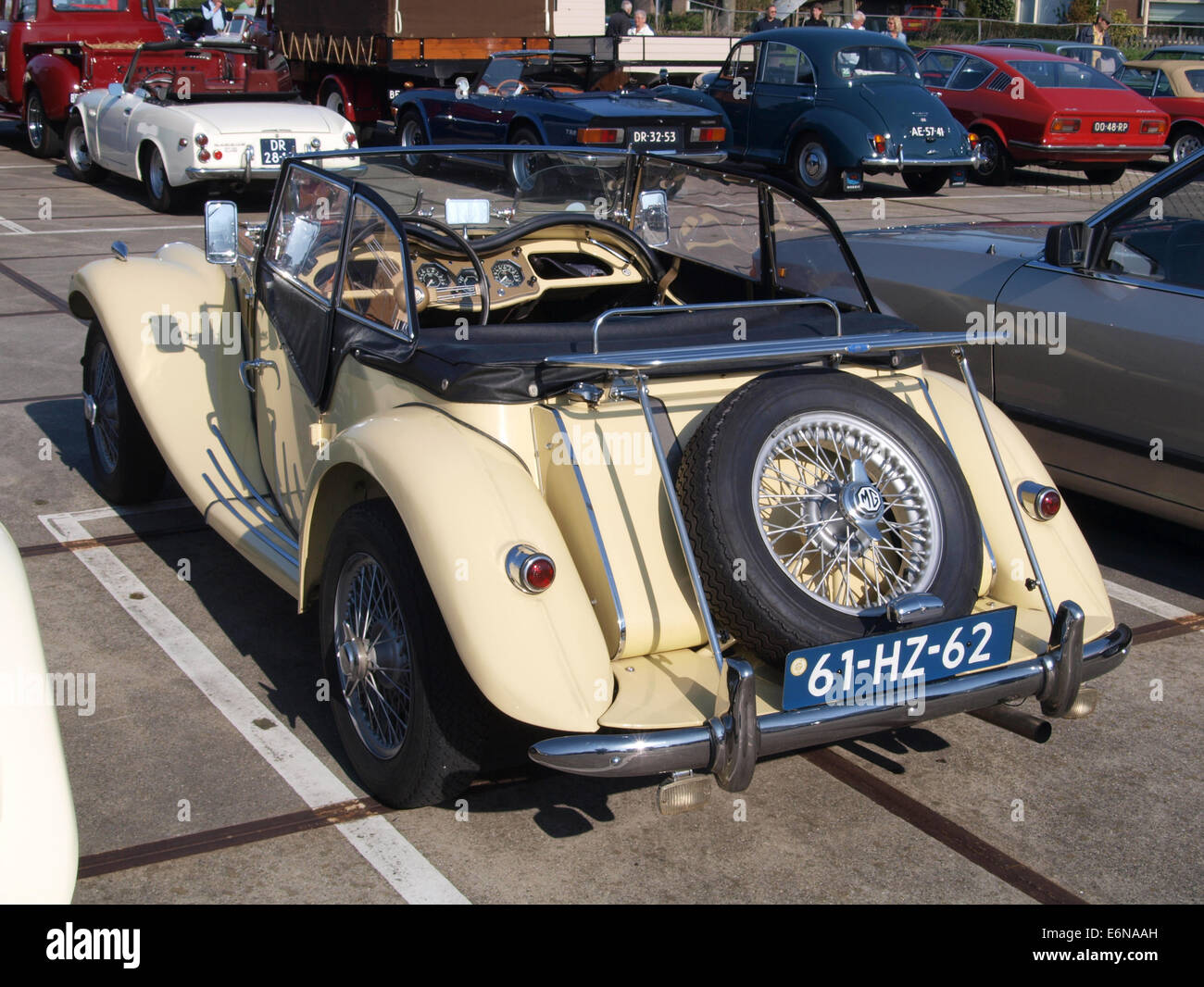 Un 1955 MG TF, un classico roadster britannico, con numero di registrazione olandese 61-HZ-62. L'auto fa parte della collezione di veicoli vintage, nota per il suo design elegante e le prestazioni sportive. Foto Stock