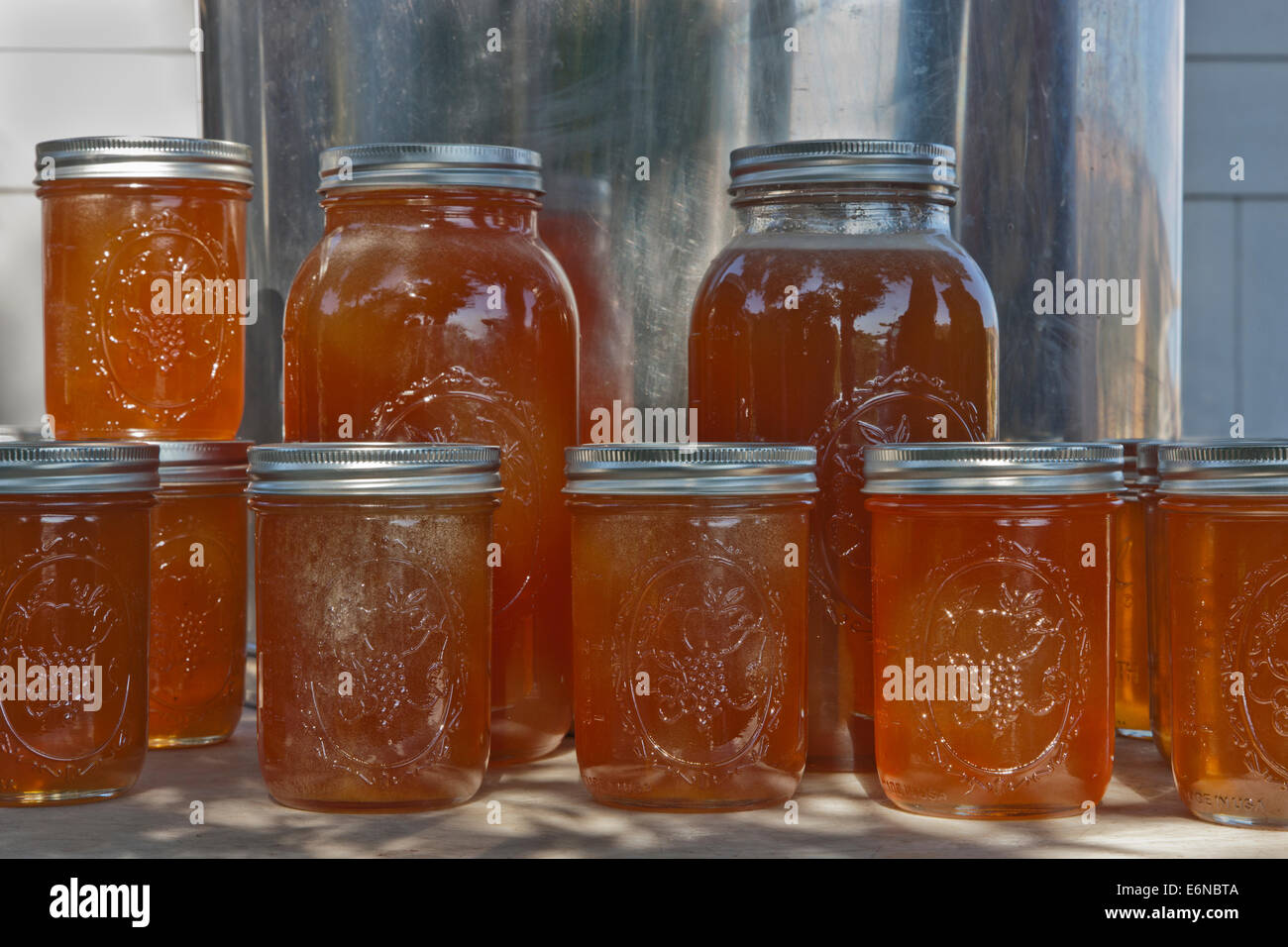 Il miele in pinta & 2 quarto di gallone di vasi. Foto Stock