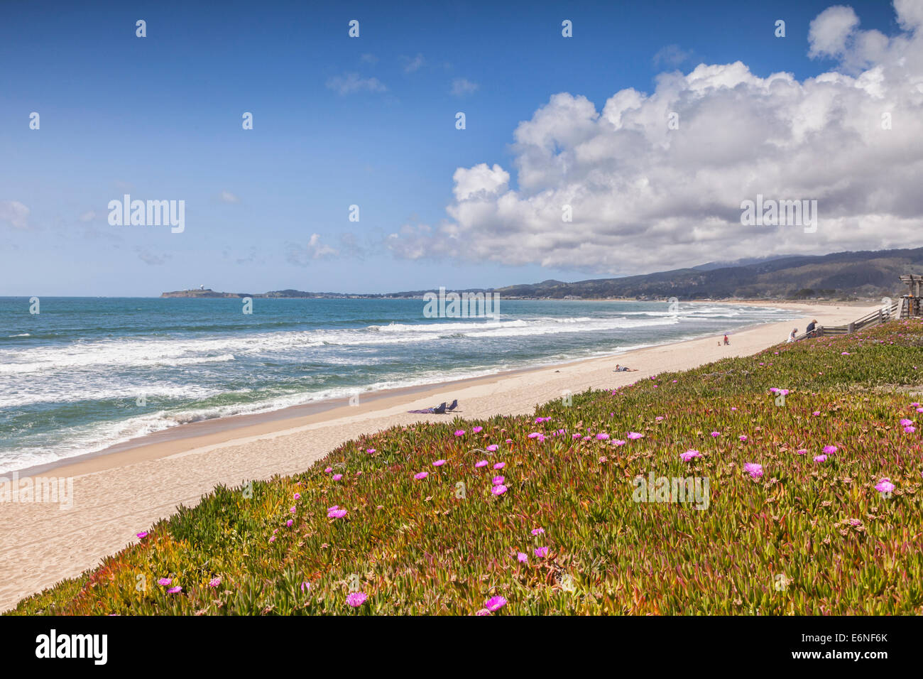 Half Moon Bay State Beach, San Mateo County, Calfornia, STATI UNITI D'AMERICA Foto Stock