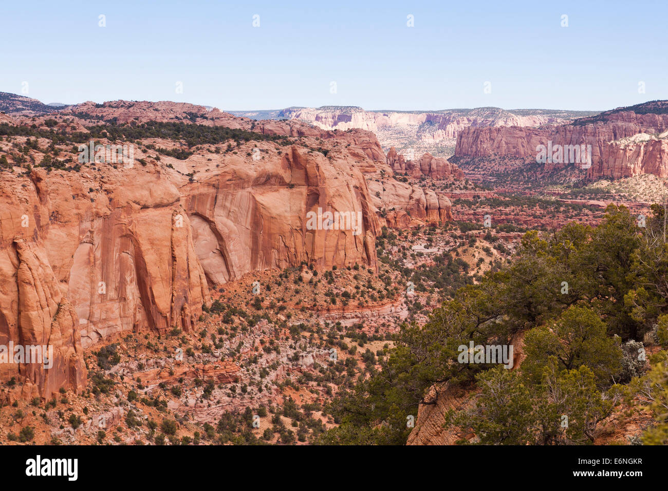 Tsegi Canyon - Navajo National Monument, Arizona USA Foto Stock
