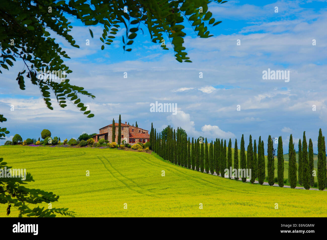 Val d'Orcia, Val d'Orcia, agriturismo con cipressi, i campi e le case coloniche, Toscana paesaggio, sito patrimonio mondiale dell'UNESCO, Pienza Foto Stock