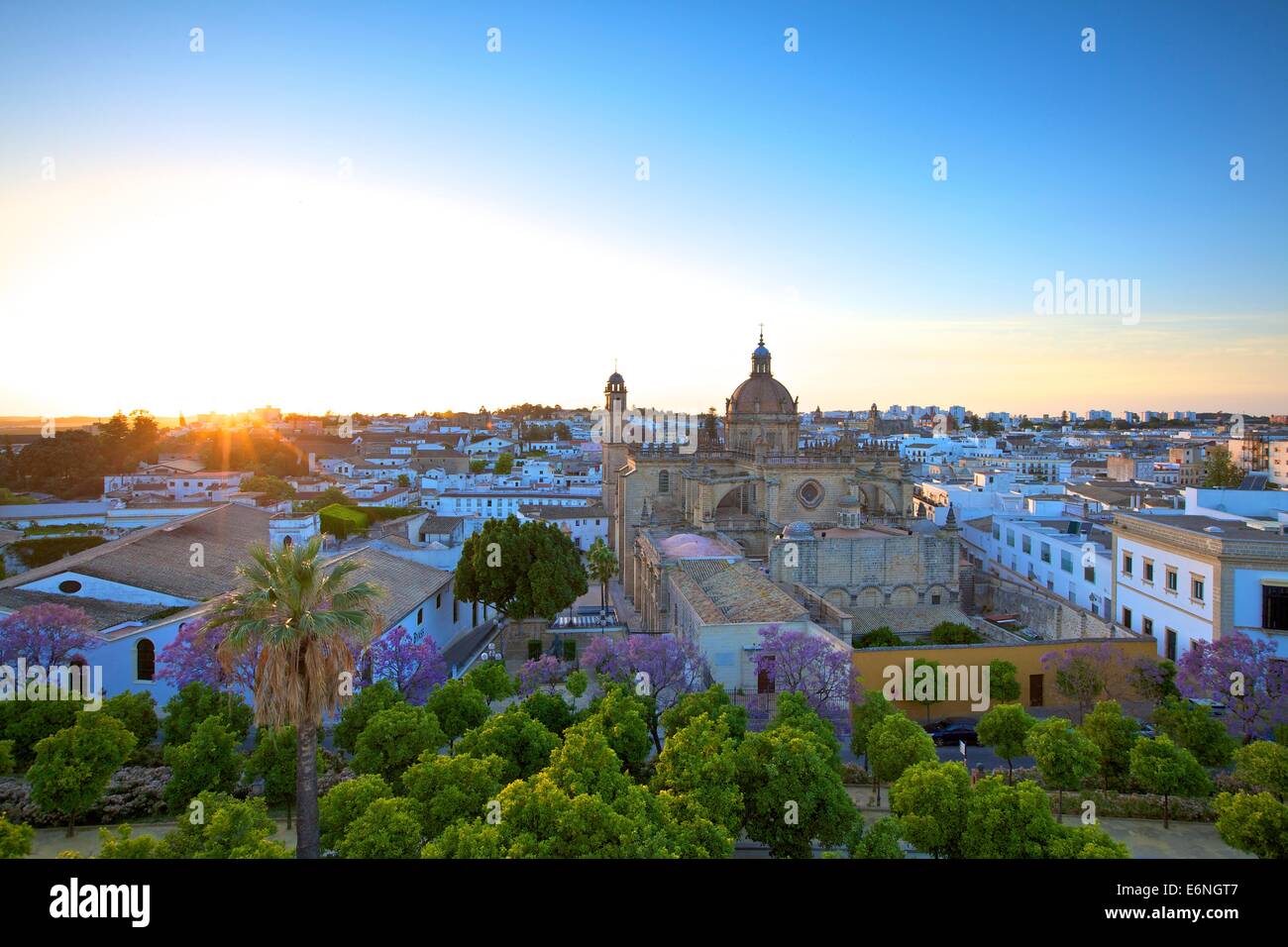 La Cattedrale di San Salvador al tramonto, Jerez de la Frontera, la provincia di Cadiz Cadice, Andalusia, sud ovest Europa Foto Stock