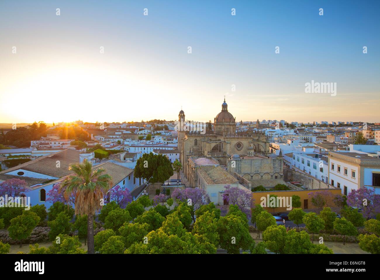 La Cattedrale di San Salvador al tramonto, Jerez de la Frontera, la provincia di Cadiz Cadice, Andalusia, sud ovest Europa Foto Stock