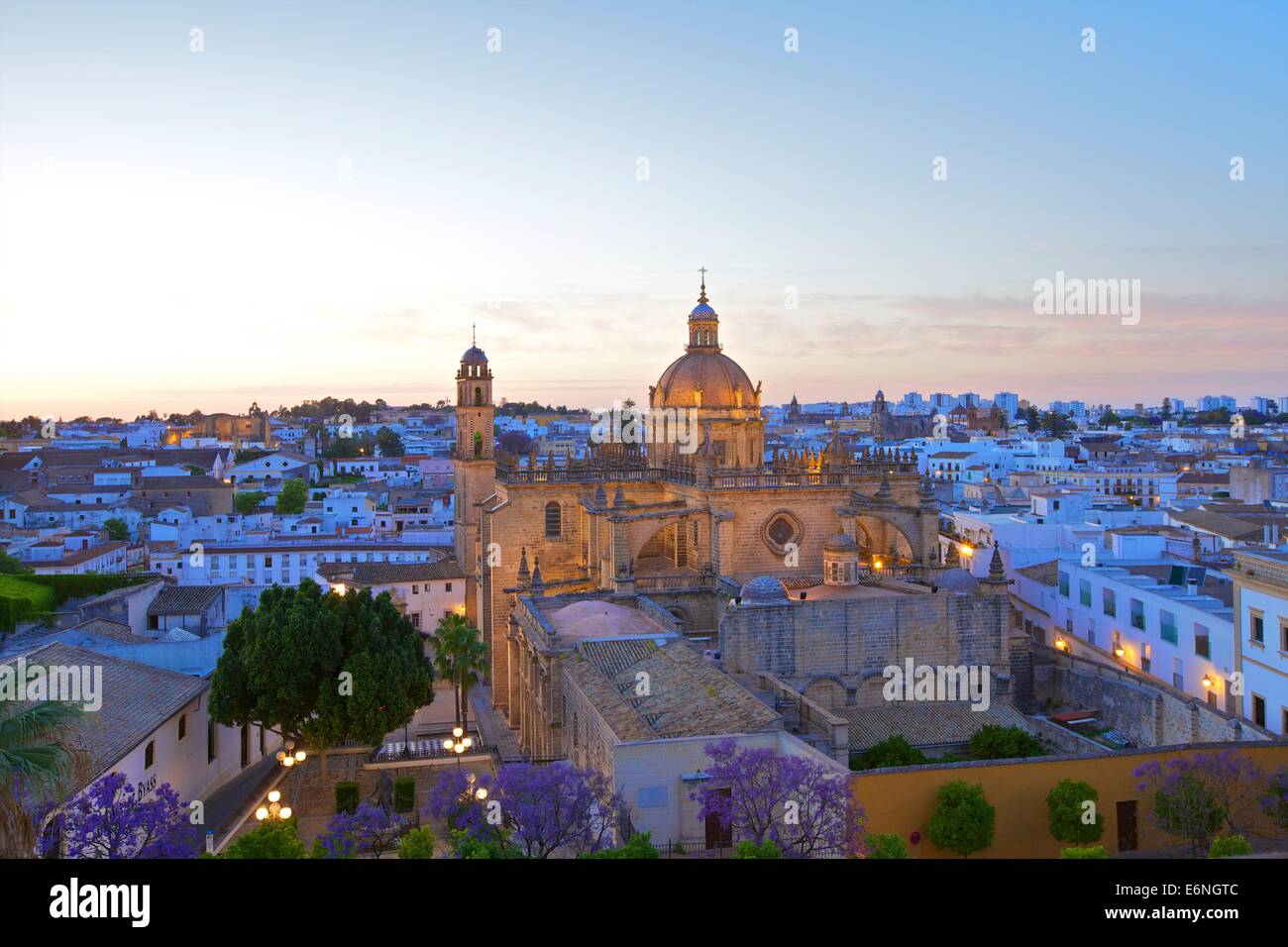 La Cattedrale di San Salvador di notte, Jerez de la Frontera, la provincia di Cadiz Cadice, Andalusia, Spagna, Sud ovest Europa Foto Stock
