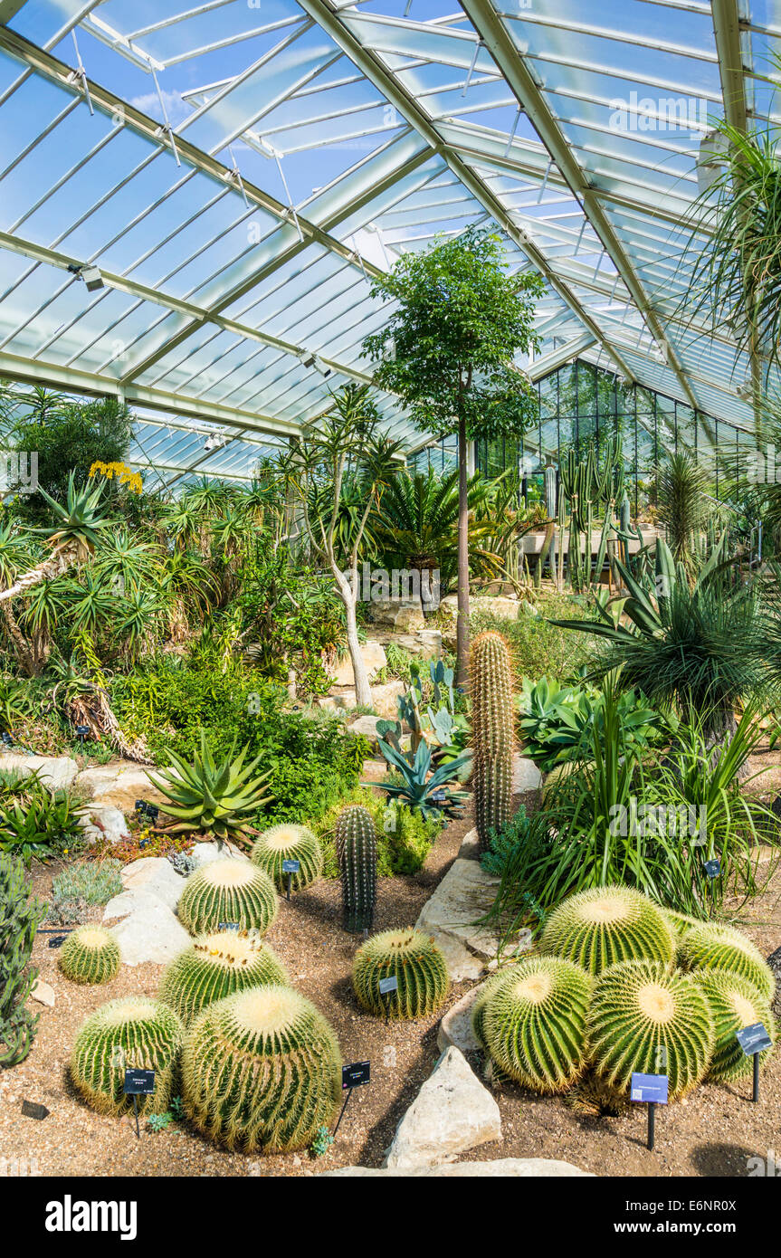 La principessa di Galles Conservatorio Kew Gardens Londra Inghilterra REGNO UNITO GB EU Europe Foto Stock