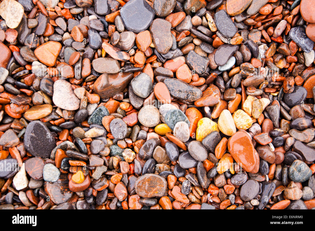 Ciottoli bagnata sulla spiaggia Foto Stock