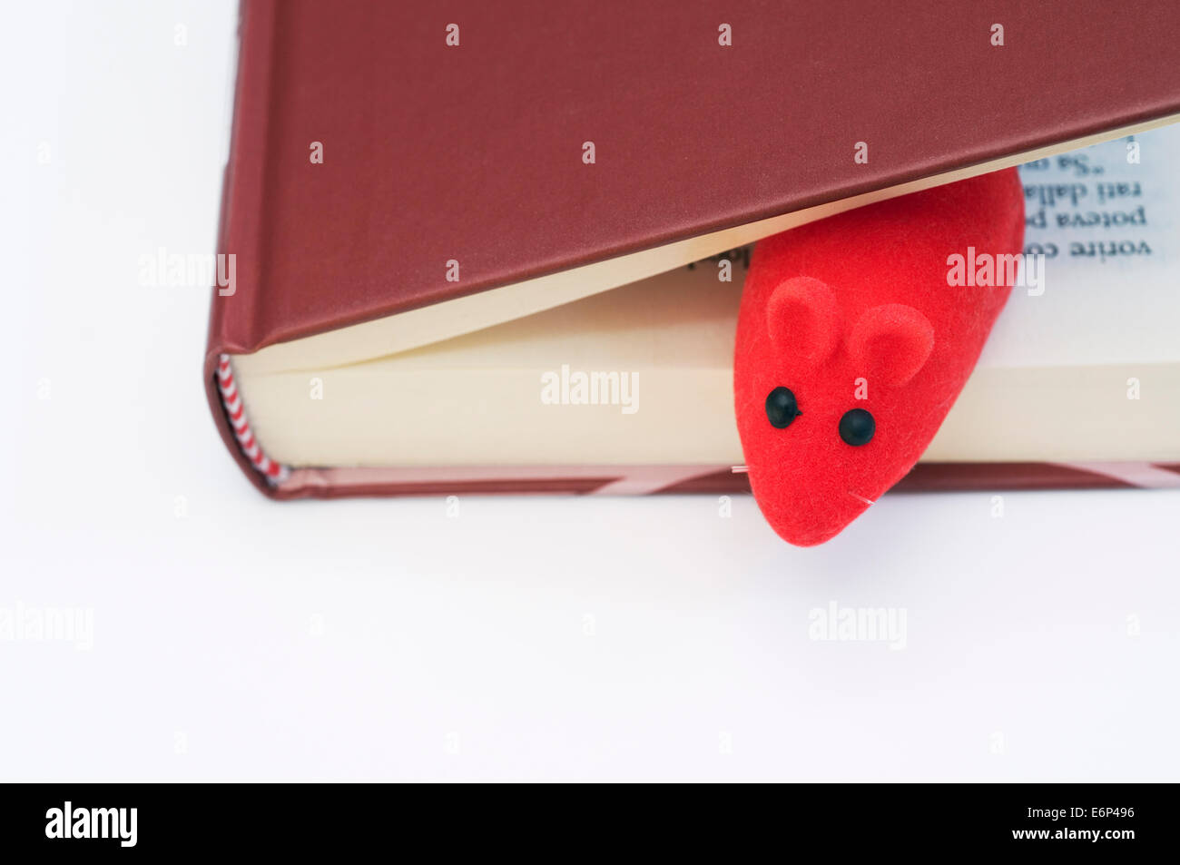 Topi di colore rosso nel libro Foto Stock