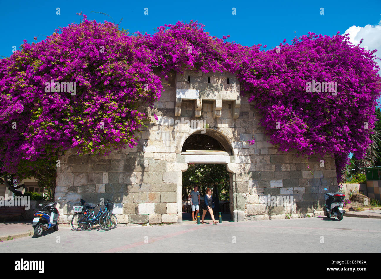 Cancello per Ippocrate albero piano quadrato, la città di Kos, isola di Kos, Dodecanneso isole, Grecia, Europa Foto Stock