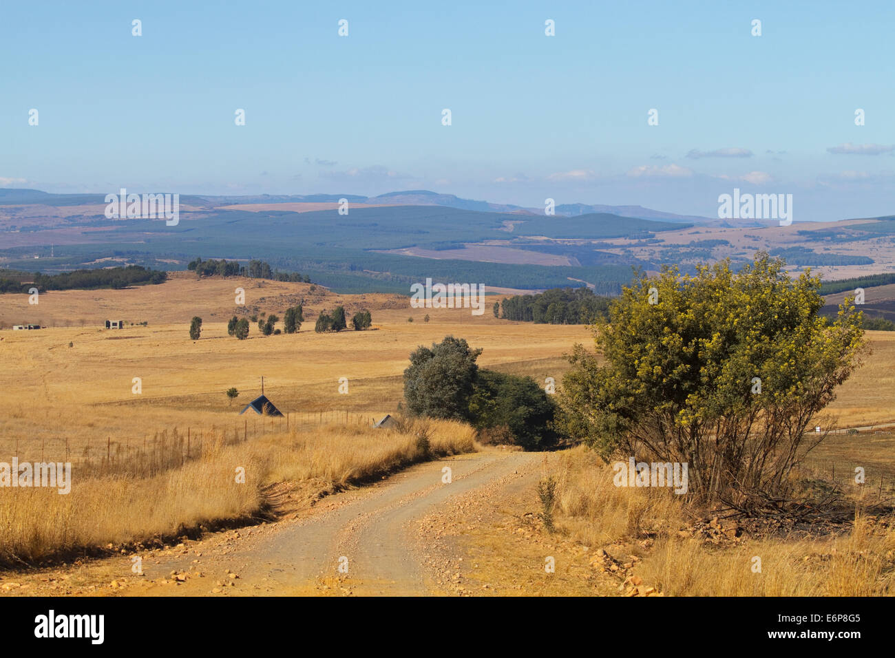 Paesaggio di montagna nelle montagne a est di Belfast e a Dullstroom, a sud di Lydenburg, Mpumalanga. Highland prateria. A nord ea Foto Stock