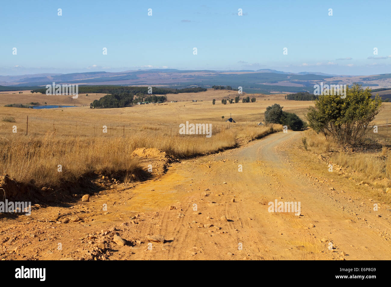 Paesaggio di montagna nelle montagne a est di Belfast e a Dullstroom, a sud di Lydenburg, Mpumalanga. Foto Stock