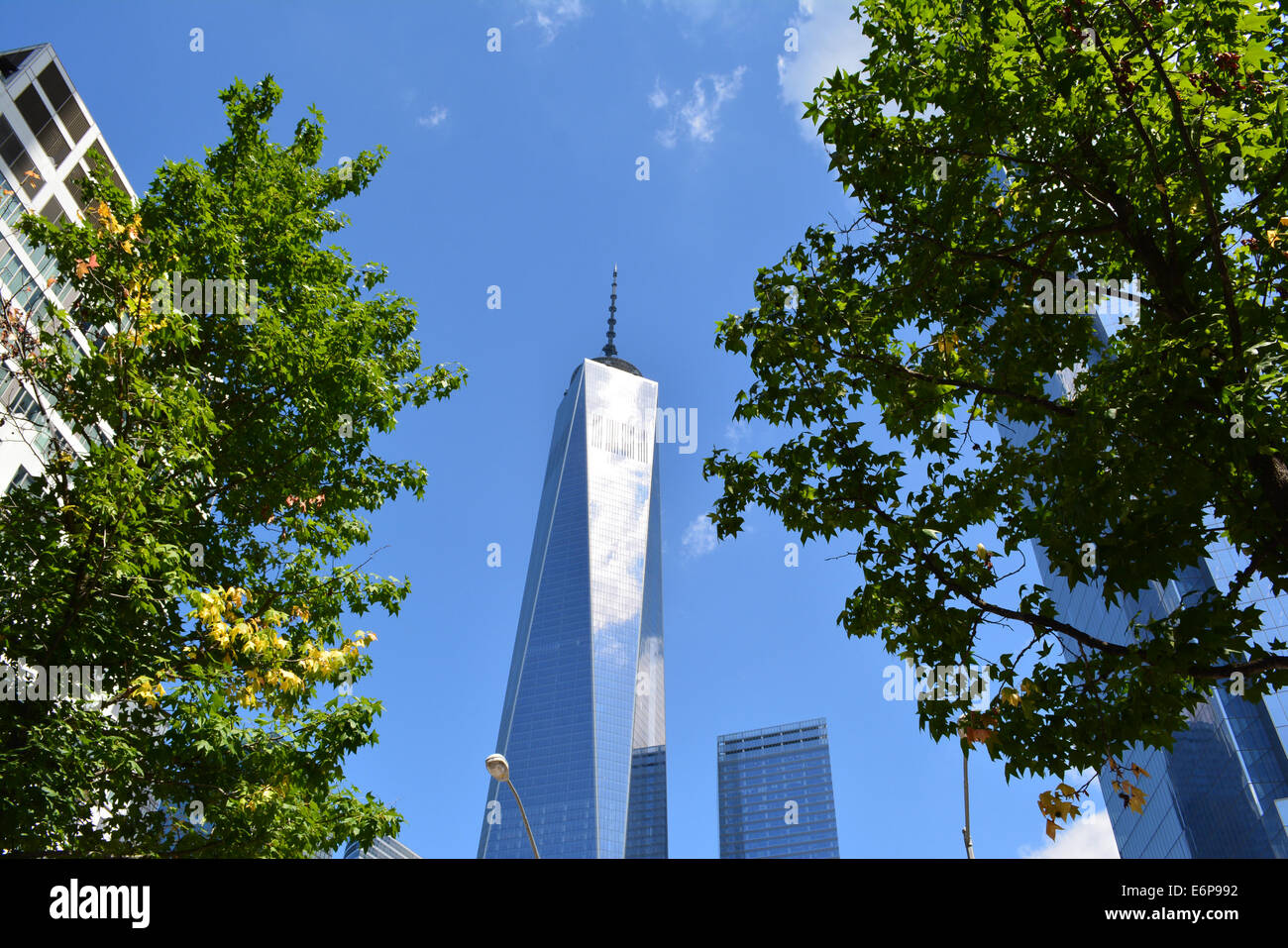 World Trade Center Tower uno in Lower Manhattan. Foto Stock
