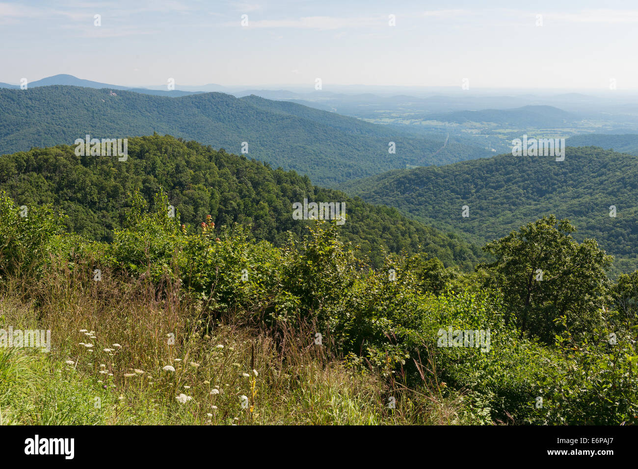 Mountain Vista dalla cava di Buck si affacciano, Skyline Drive, Parco Nazionale di Shenandoah, Virginia Foto Stock