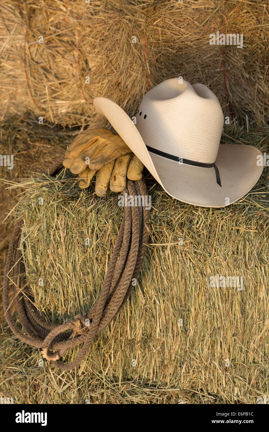 Ancora in vita il cappello da cowboy, lazo e guanti da lavoro su una balla  di fieno, Montana, USA Foto stock - Alamy