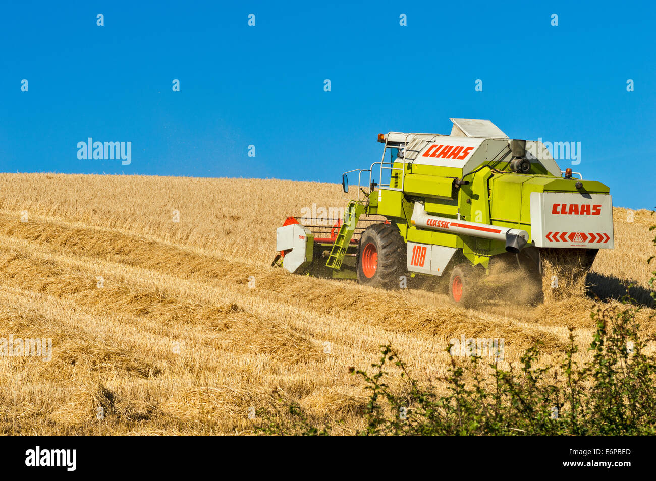 Mietitrebbia LAVORA IN UN CAMPO DI ORZO ABERDEENSHIRE IN SCOZIA Foto Stock