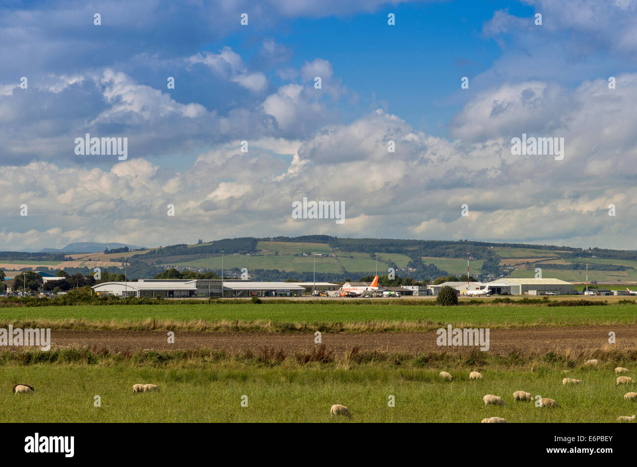 INVERNESS DALCROSS Aeroporto in Scozia e il campo con pecora Foto Stock