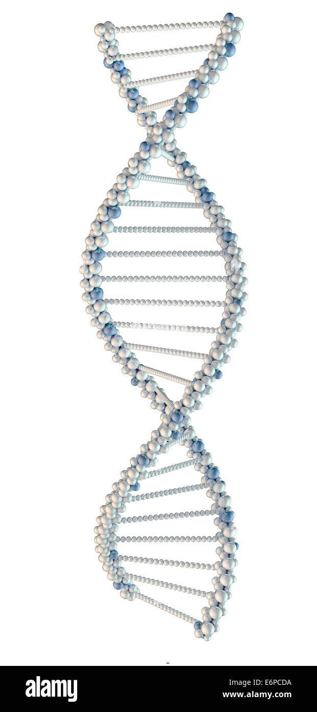 Illustrazione di bianco della catena di DNA Foto Stock