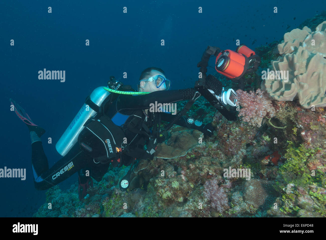 Fotografo subacqueo delle Maldive, Oceano Indiano Foto Stock