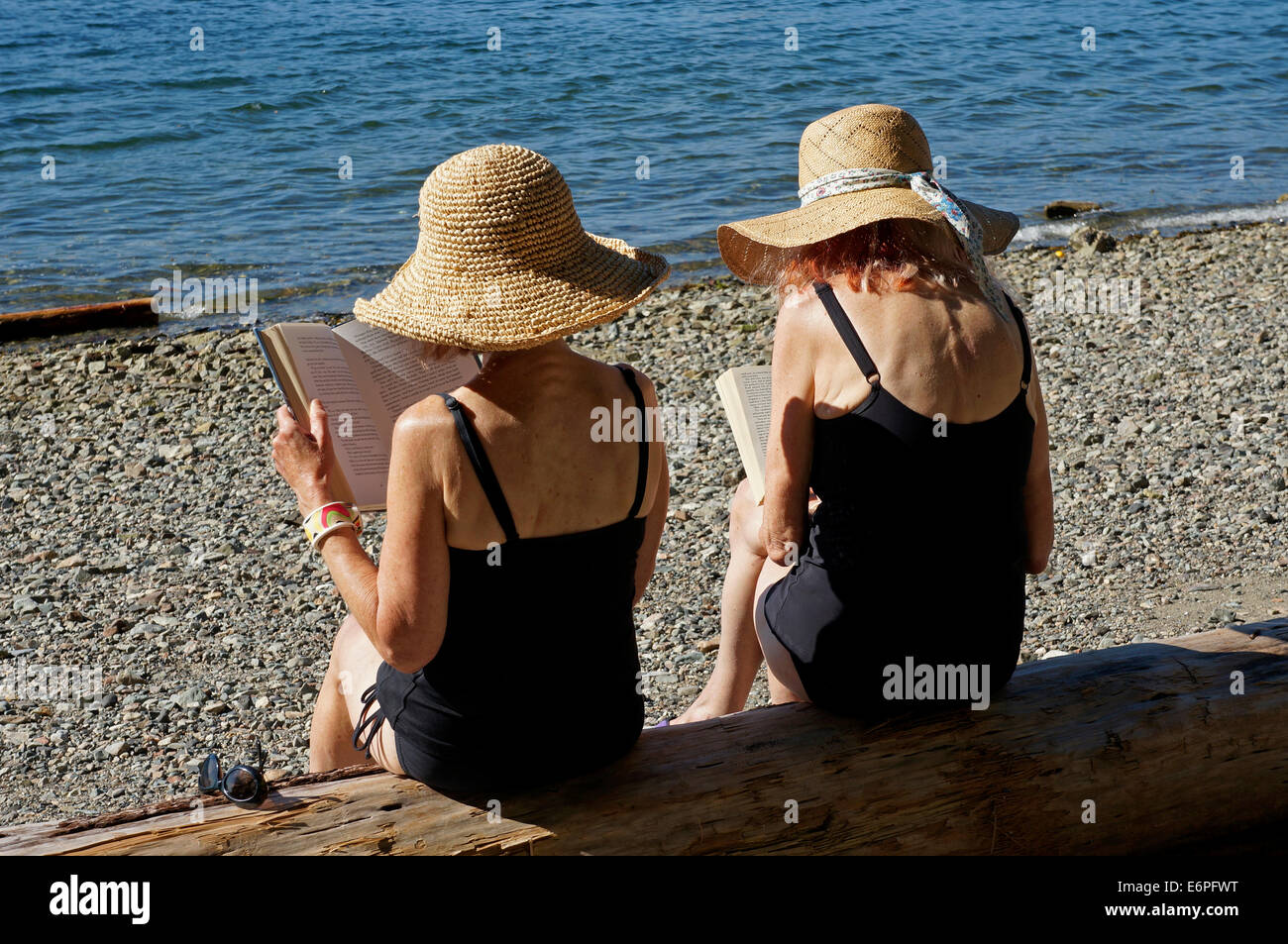 Due donne in pensione seduto su un log la lettura di libri in spiaggia, Isola di Bowen, BC, Canada Foto Stock
