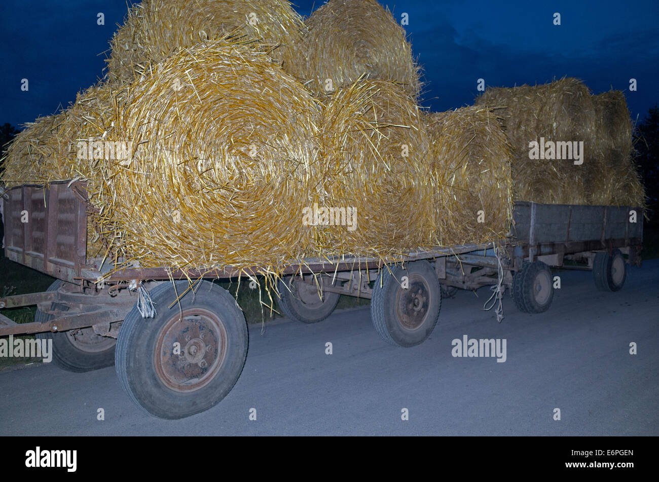 Raccolte di rotoli di fieno trasportato sul carrello per archiviazione. Zawady Polonia Foto Stock