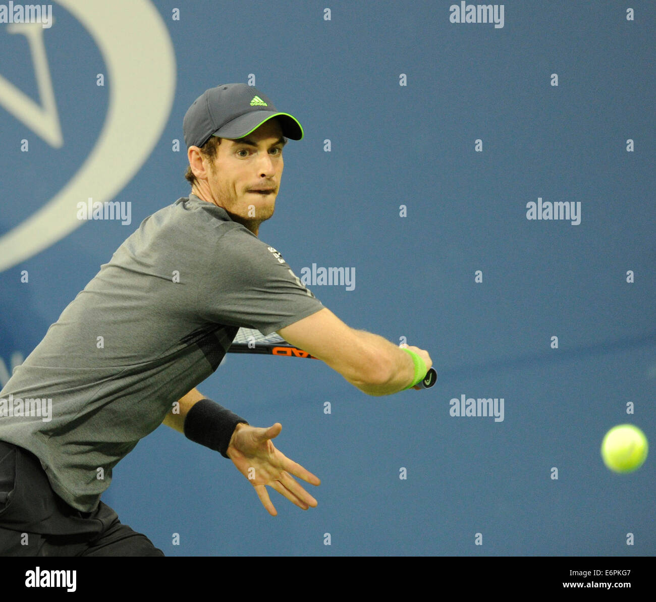 New York, Stati Uniti d'America. 28 Agosto, 2014. Andy Murray della Gran Bretagna restituisce un colpo durante il secondo turno match di uomini singoli contro Matthias Bachinger della Germania al 2014 U.S. Aperto in New York, Stati Uniti, e il agosto 28, 2014. Murray ha vinto la partita 3-0. Credito: Bao Dandan/Xinhua/Alamy Live News Foto Stock