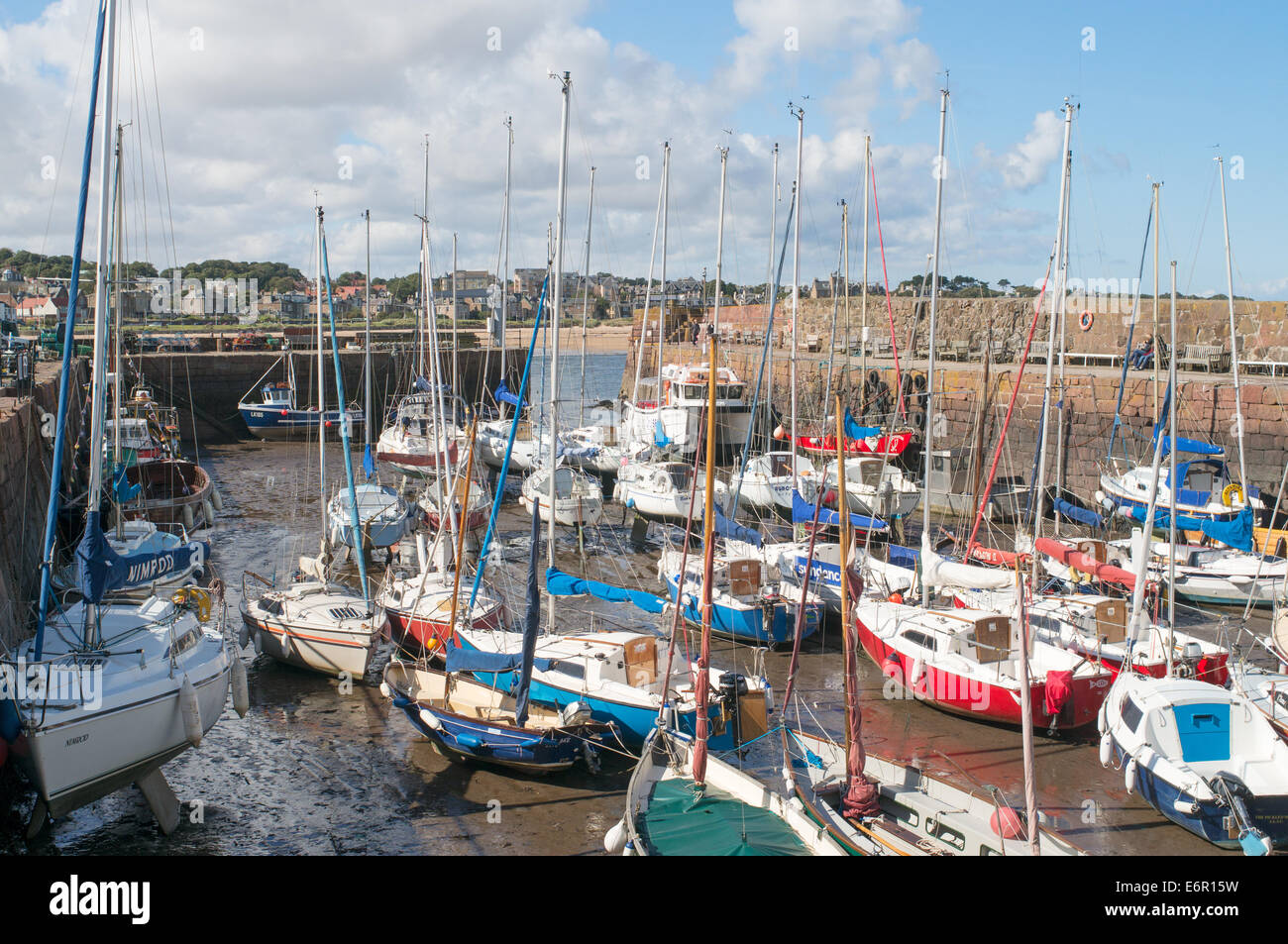 Barche a vela all'interno di North Berwick harbour con la bassa marea, East Lothian, Scozia, Europa Foto Stock