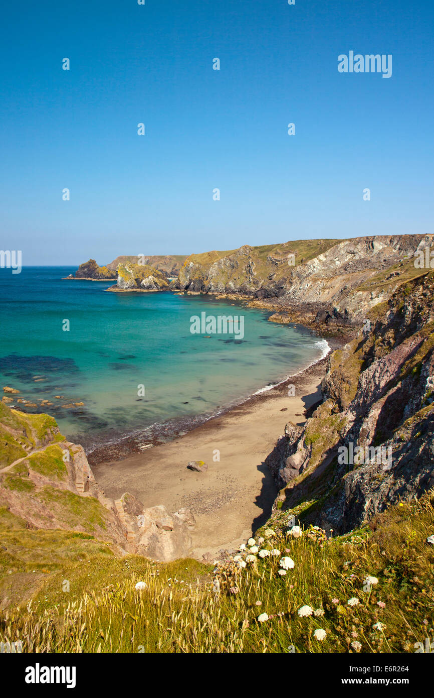 Spiaggia Pentreath da Sud ovest sentiero costiero sulla penisola di Lizard in Cornovaglia Inghilterra, Regno Unito Foto Stock