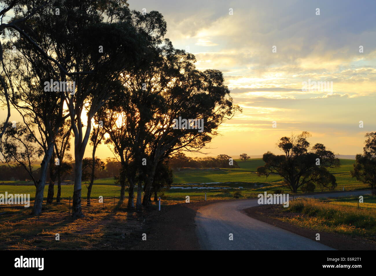 Il crepuscolo si assesta oltre il paesaggio rurale e un incurvamento road - vicino a Northam, Western Australia. Foto Stock