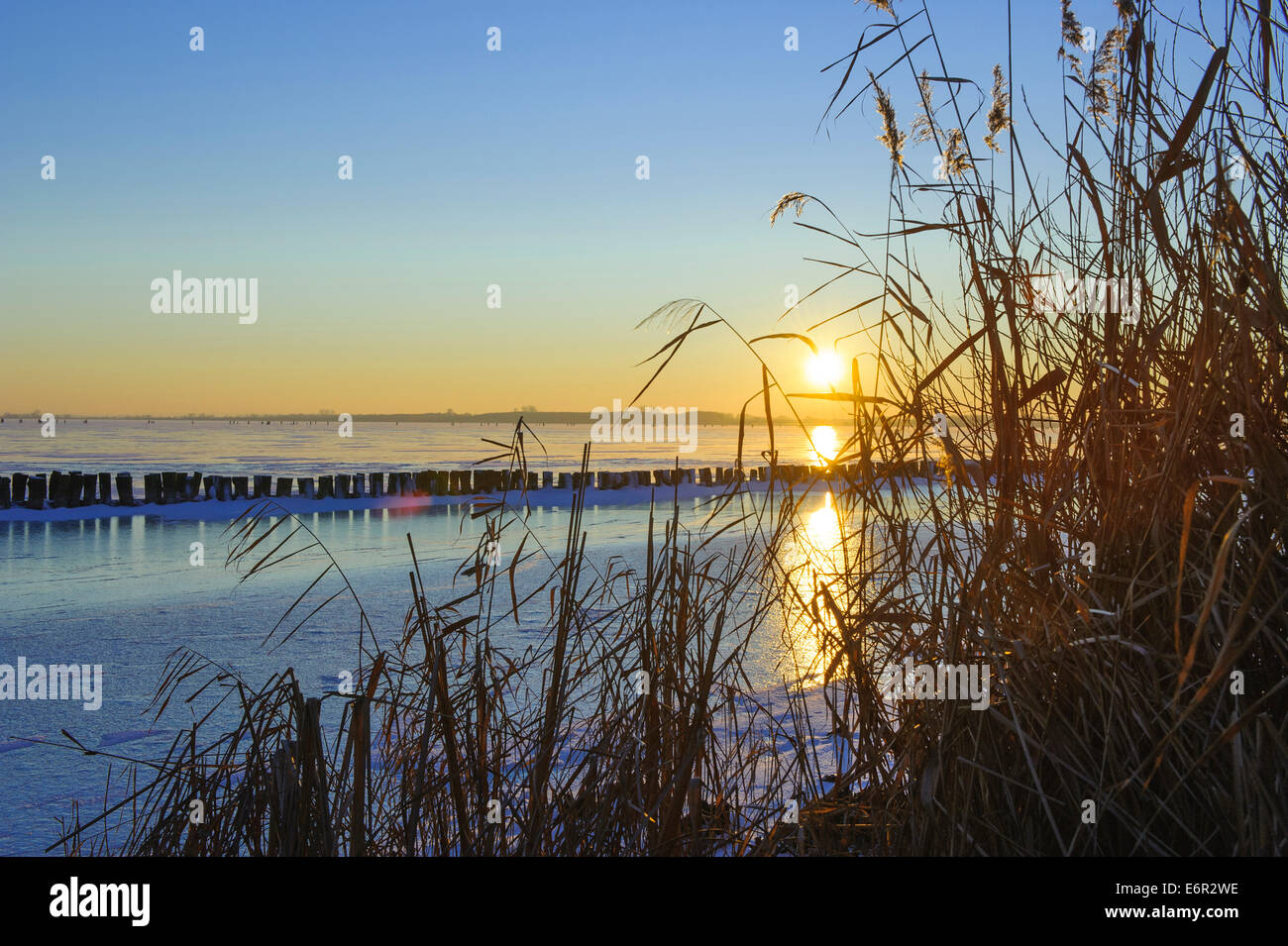 Sera d'inverno sul lago di Dümmer, dümmerlohhausen, distretto di Diepholz, Bassa Sassonia, Germania Foto Stock