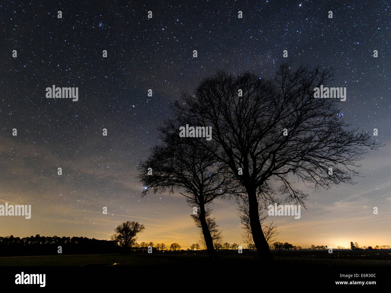 Cielo stellato, vechta distretto, Bassa Sassonia, Germania Foto Stock
