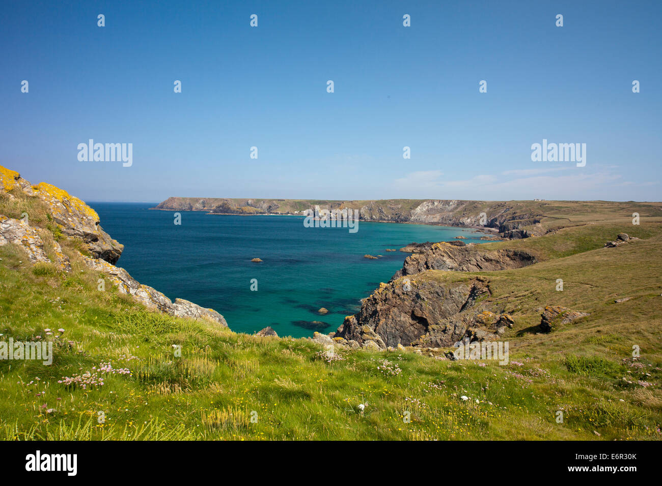 Guardando a Nord dal vecchio Lizard Point a sud ovest sentiero costiero sulla penisola di Lizard in Cornovaglia Inghilterra REGNO UNITO Foto Stock