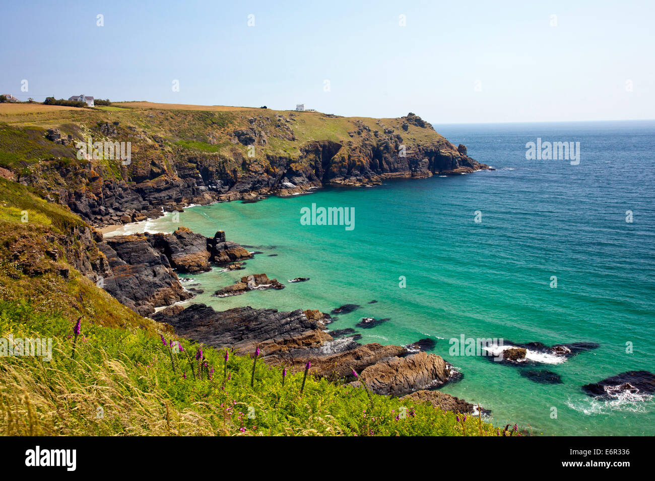 Housel Bay Cove e da Sud ovest sentiero costiero sulla penisola di Lizard in Cornovaglia Inghilterra, Regno Unito Foto Stock