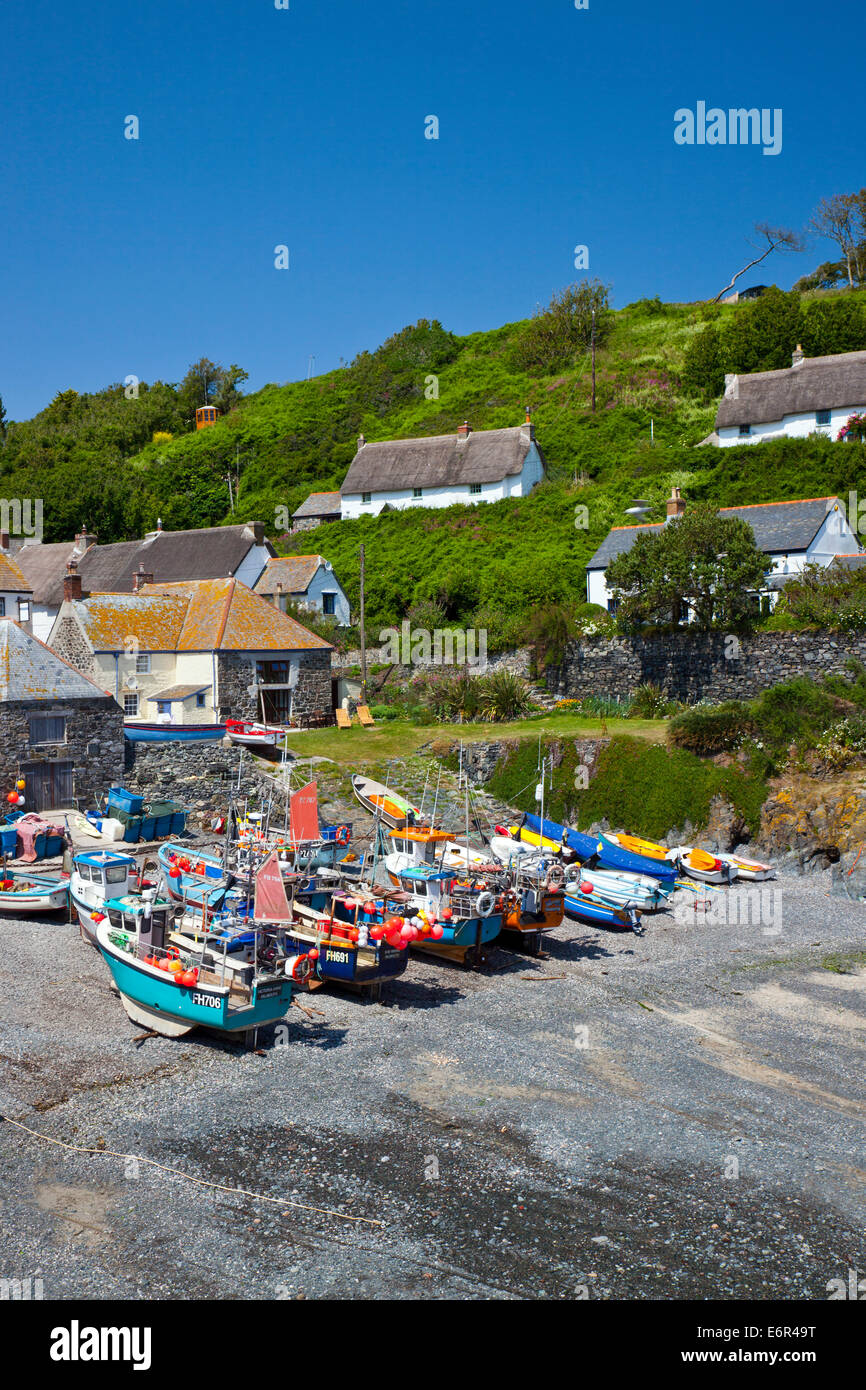 Colorate barche da pesca cazzate fino sulla spiaggia di Cadgwith Cove sulla penisola di Lizard Cornwall Inghilterra REGNO UNITO Foto Stock