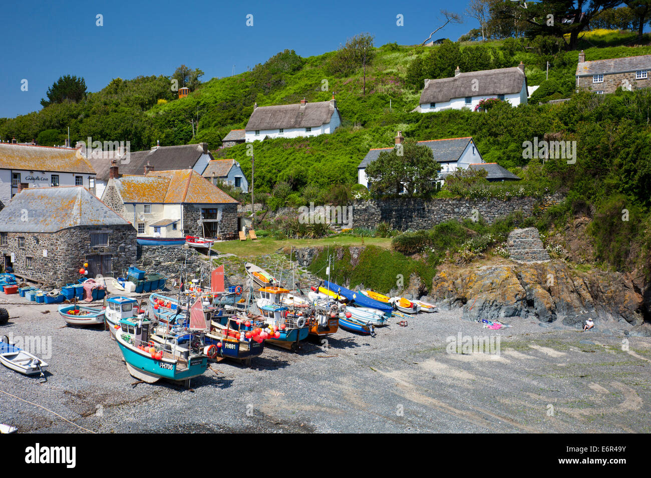 Colorate barche da pesca cazzate fino sulla spiaggia di Cadgwith Cove sulla penisola di Lizard Cornwall Inghilterra REGNO UNITO Foto Stock