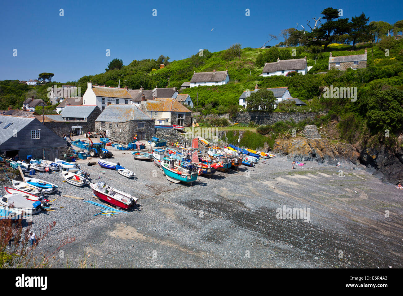 Colorate barche da pesca cazzate fino sulla spiaggia di Cadgwith Cove sulla penisola di Lizard Cornwall Inghilterra REGNO UNITO Foto Stock