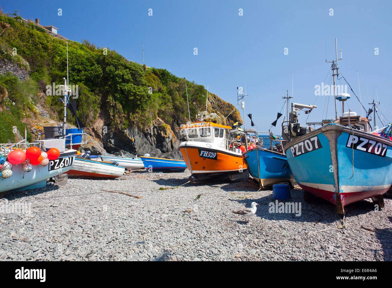 Colorate barche da pesca cazzate fino sulla spiaggia di Cadgwith Cove sulla penisola di Lizard Cornwall Inghilterra REGNO UNITO Foto Stock