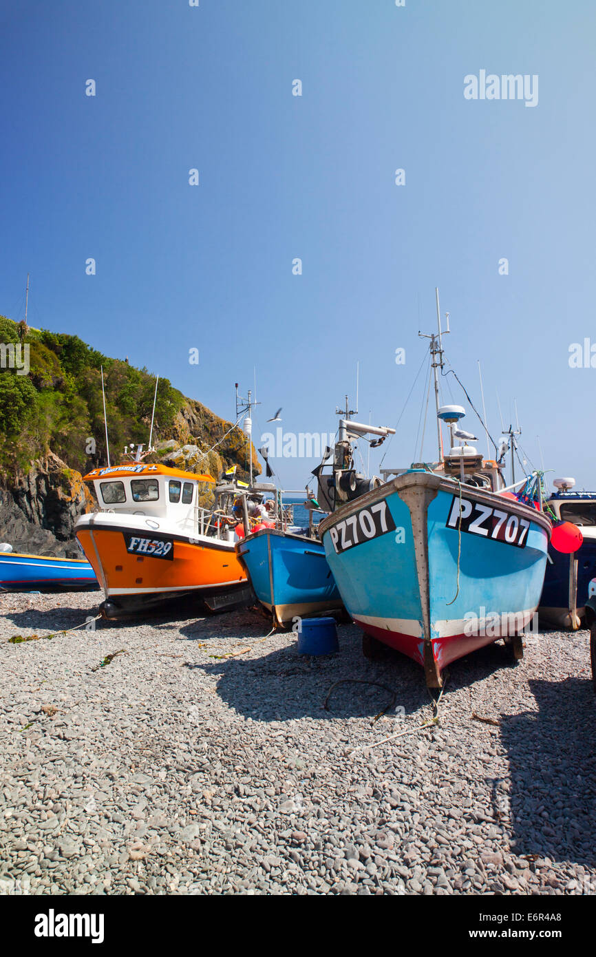 Colorate barche da pesca cazzate fino sulla spiaggia di Cadgwith Cove sulla penisola di Lizard Cornwall Inghilterra REGNO UNITO Foto Stock